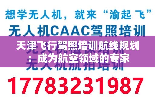 天津飞行驾照培训航线规划：成为航空领域的专家