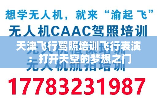 天津飞行驾照培训飞行表演：打开天空的梦想之门