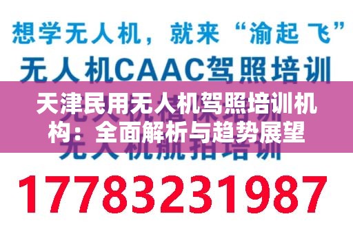 天津民用无人机驾照培训机构：全面解析与趋势展望