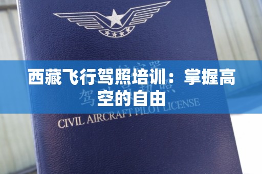 西藏飞行驾照培训：掌握高空的自由