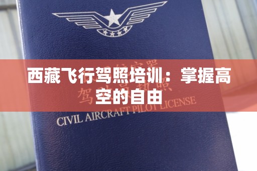 西藏飞行驾照培训：掌握高空的自由