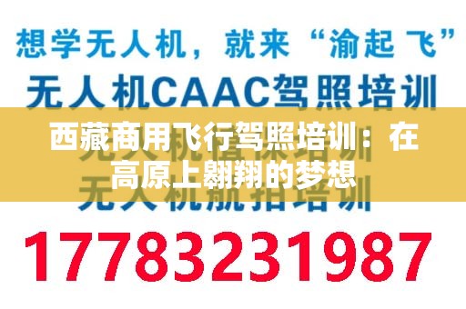 西藏商用飞行驾照培训：在高原上翱翔的梦想