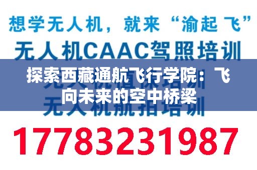 探索西藏通航飞行学院：飞向未来的空中桥梁