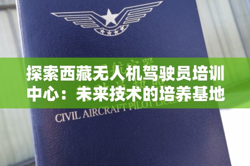 探索西藏无人机驾驶员培训中心：未来技术的培养基地