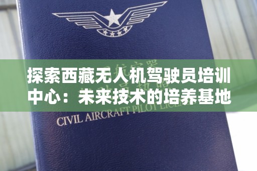 探索西藏无人机驾驶员培训中心：未来技术的培养基地