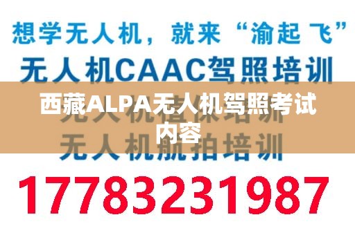 西藏ALPA无人机驾照考试内容