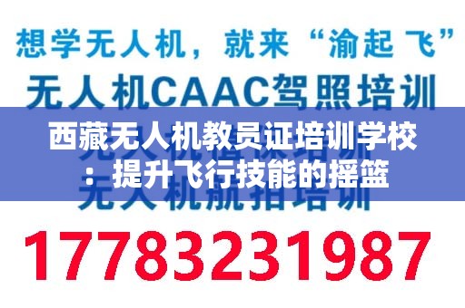 西藏无人机教员证培训学校：提升飞行技能的摇篮