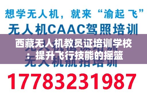西藏无人机教员证培训学校：提升飞行技能的摇篮