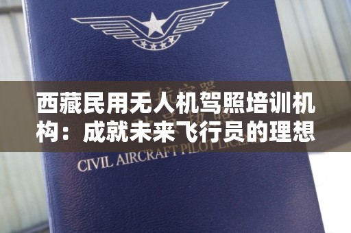 西藏民用无人机驾照培训机构：成就未来飞行员的理想选择
