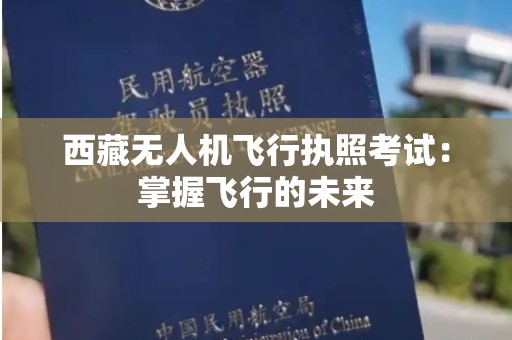 西藏无人机飞行执照考试：掌握飞行的未来