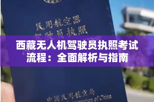 西藏无人机驾驶员执照考试流程：全面解析与指南