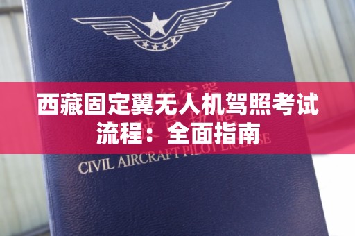 西藏固定翼无人机驾照考试流程：全面指南