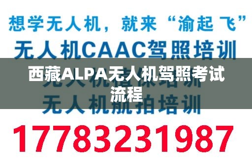西藏ALPA无人机驾照考试流程