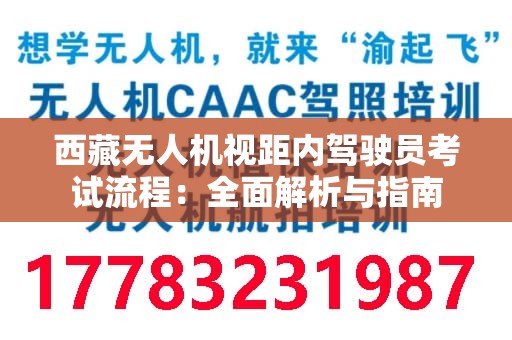 西藏无人机视距内驾驶员考试流程：全面解析与指南