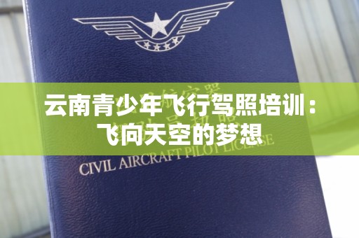 云南青少年飞行驾照培训：飞向天空的梦想