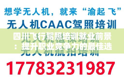 四川飞行驾照培训就业前景：提升职业竞争力的最佳选择