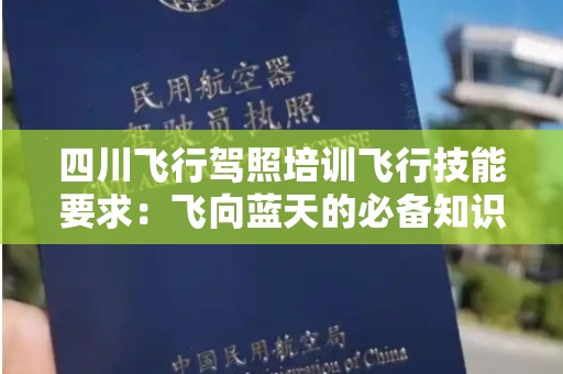 四川飞行驾照培训飞行技能要求：飞向蓝天的必备知识