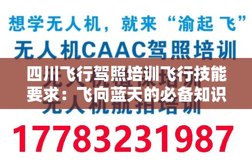 四川飞行驾照培训飞行技能要求：飞向蓝天的必备知识