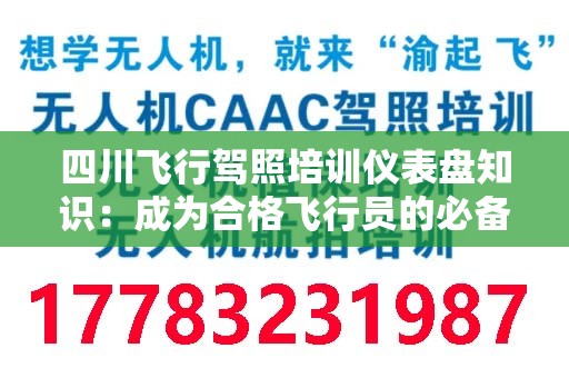 四川飞行驾照培训仪表盘知识：成为合格飞行员的必备指南