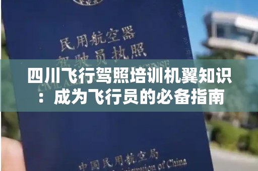 四川飞行驾照培训机翼知识：成为飞行员的必备指南