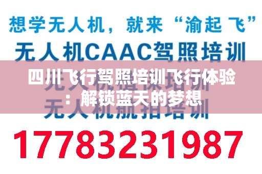 四川飞行驾照培训飞行体验：解锁蓝天的梦想