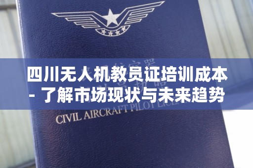 四川无人机教员证培训成本- 了解市场现状与未来趋势