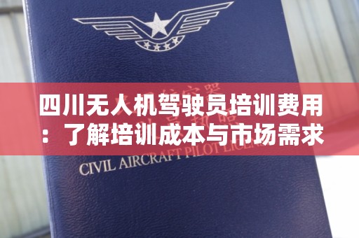 四川无人机驾驶员培训费用：了解培训成本与市场需求