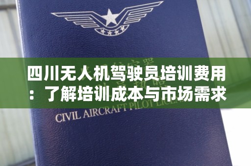 四川无人机驾驶员培训费用：了解培训成本与市场需求
