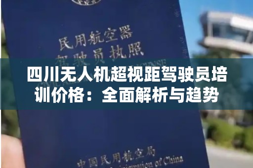四川无人机超视距驾驶员培训价格：全面解析与趋势