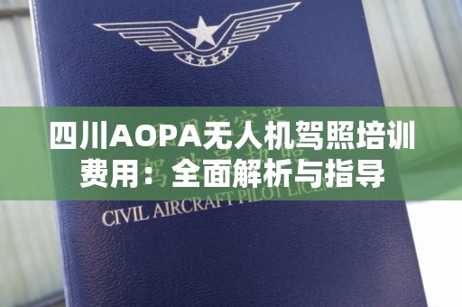 四川AOPA无人机驾照培训费用：全面解析与指导
