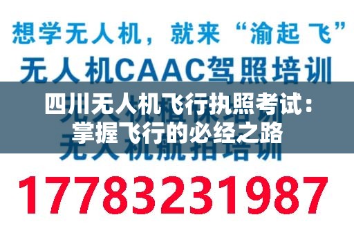 四川无人机飞行执照考试：掌握飞行的必经之路