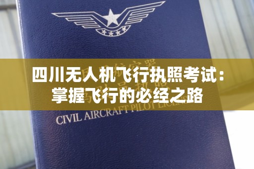四川无人机飞行执照考试：掌握飞行的必经之路