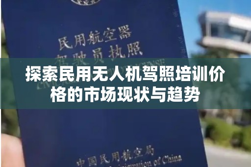 探索民用无人机驾照培训价格的市场现状与趋势