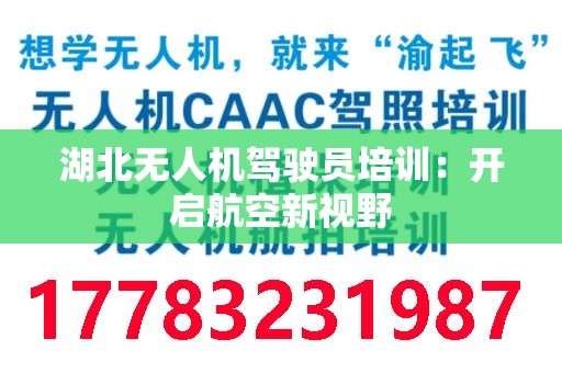 湖北无人机驾驶员培训：开启航空新视野