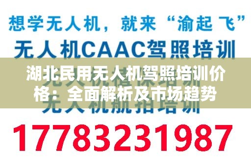 湖北民用无人机驾照培训价格：全面解析及市场趋势