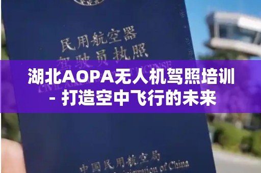 湖北AOPA无人机驾照培训 - 打造空中飞行的未来