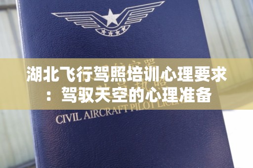 湖北飞行驾照培训心理要求：驾驭天空的心理准备
