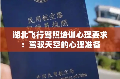 湖北飞行驾照培训心理要求：驾驭天空的心理准备