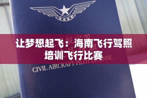 让梦想起飞：海南飞行驾照培训飞行比赛