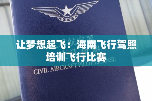 让梦想起飞：海南飞行驾照培训飞行比赛