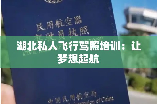 湖北私人飞行驾照培训：让梦想起航