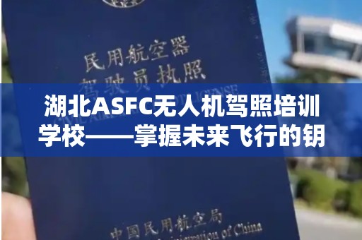 湖北ASFC无人机驾照培训学校——掌握未来飞行的钥匙