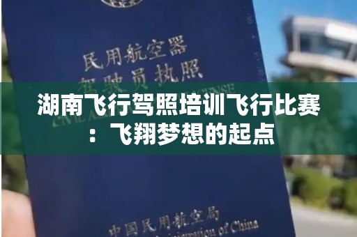 湖南飞行驾照培训飞行比赛：飞翔梦想的起点