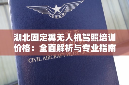 湖北固定翼无人机驾照培训价格：全面解析与专业指南