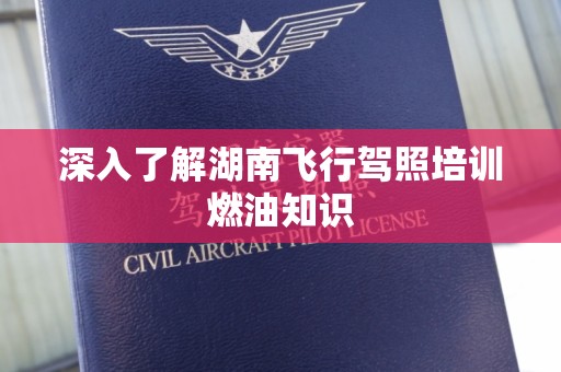 深入了解湖南飞行驾照培训燃油知识