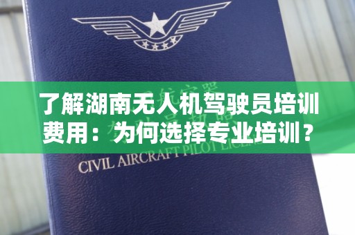 了解湖南无人机驾驶员培训费用：为何选择专业培训？