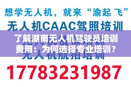 了解湖南无人机驾驶员培训费用：为何选择专业培训？