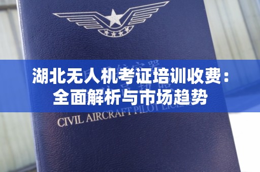 湖北无人机考证培训收费：全面解析与市场趋势