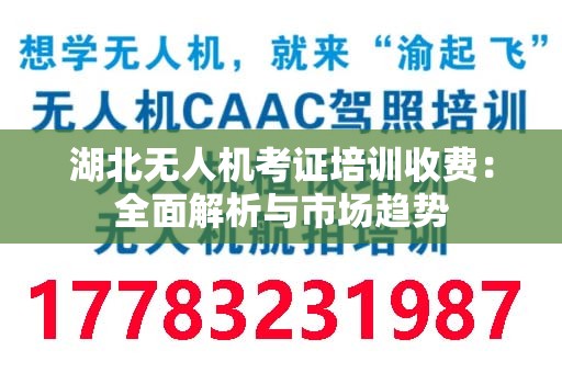 湖北无人机考证培训收费：全面解析与市场趋势