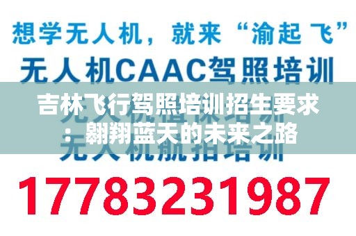 吉林飞行驾照培训招生要求：翱翔蓝天的未来之路